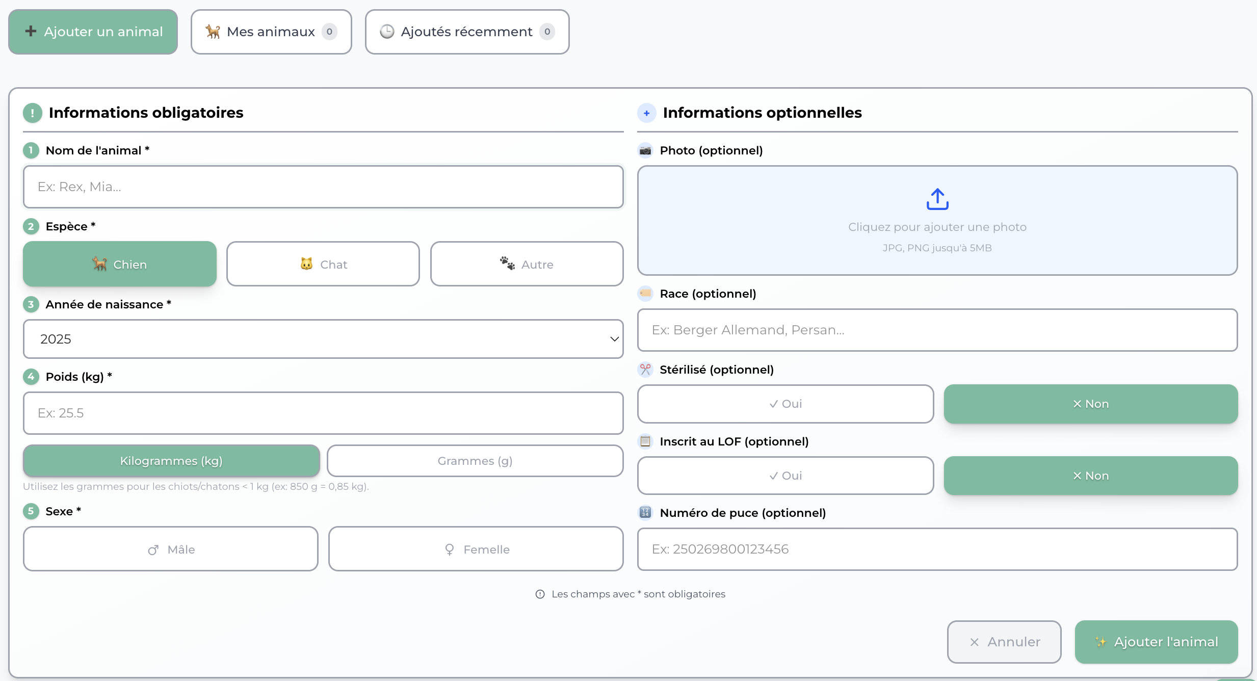 Étape 3: C'est prêt !